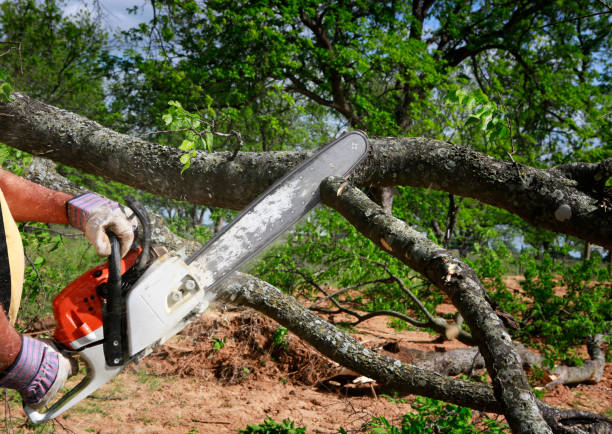 Mulching Services in Biddeford, ME